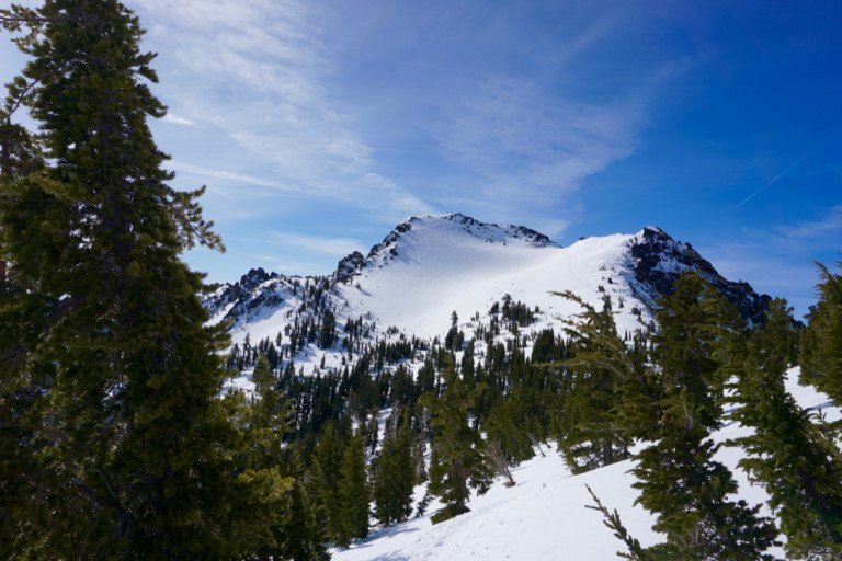 Tallac's Summit Snowfield